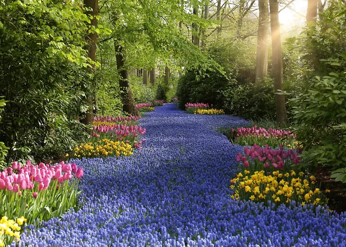 Bungalowverhuur 't Lappennest بيت للعطل نوردفيك