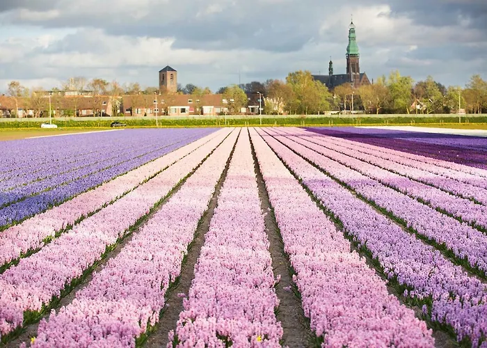 Bungalowverhuur 't Lappennest Ferienhaus Noordwijk