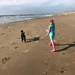 홀리데이파크 Bungalowverhuur 't Lappennest