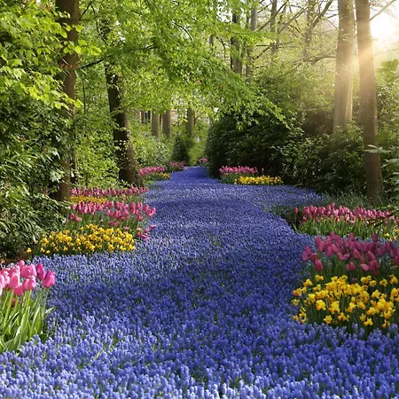 Bungalowverhuur 't Lappennest Сasa de vacaciones Noordwijk